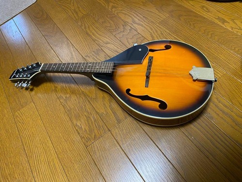 Aria mandolin 20 strumento - am,