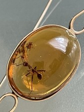 Spilla Oro e Ambra, Gold&Amber Brooch Vintage 12k Circa Con Insetti Mummificati