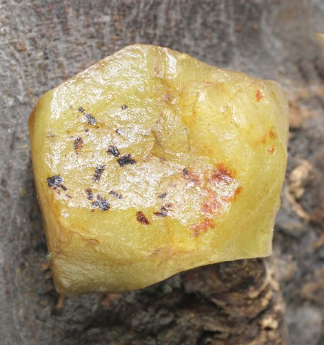 Madagascar giallo zaffiro - giallo, 1010