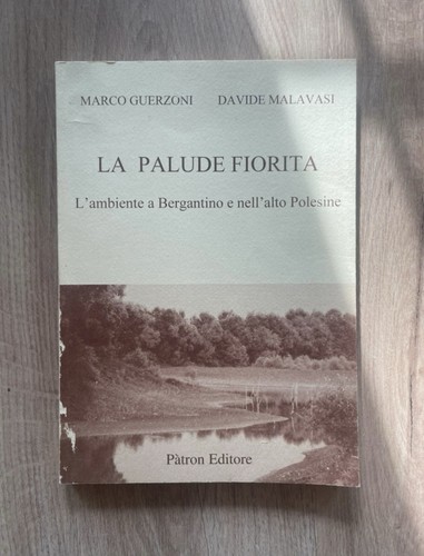 Palude fiorita marco - palude,
