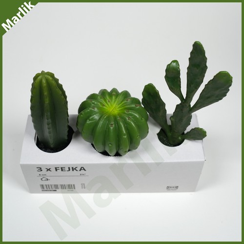 Ikea fejka pianta - fejka, cactus