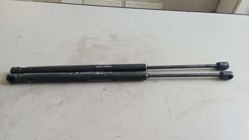 Coppia pistoncini - coppia,
