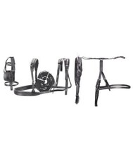 Finimento completo da calesse