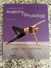 FUNDAMENTALS  OF ANATOMY &