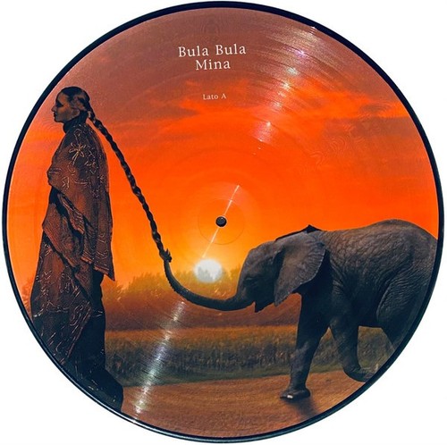 Mina bula limited - -,