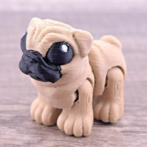 Pug hatchling cane - pug, |