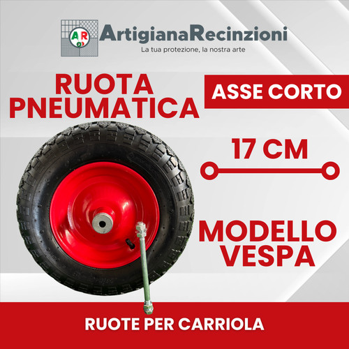 Ruota pneumatica per carriola