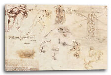 Tela/Cornice Leonardo Da Vinci - Vari disegni