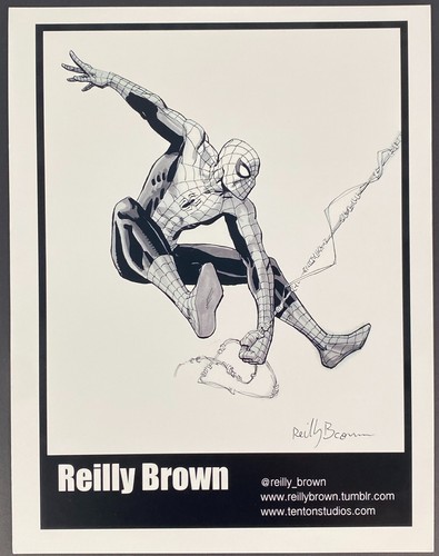 Disegno spider man firmato - disegno, spider-man