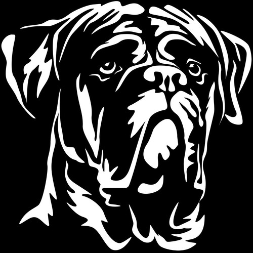 Adesivi cane corso - adesivi,