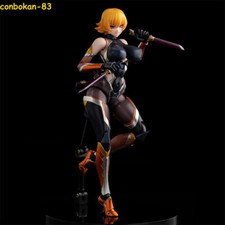 Figure anime Taimanin Asgi