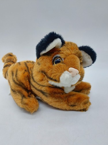 Dan dee bengal tiger cub - dan,