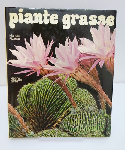 Piante grasse pizzetti - piante,