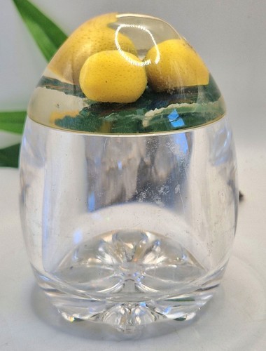 Vintage lucite lemon preserve - vintage,
