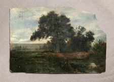 Paesaggio alberato, olio su
