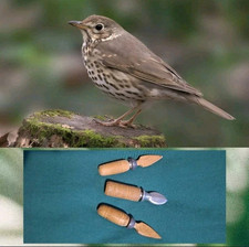 Richiami ?? per tordo?  in legno/metallo vintage (3 Pz.)