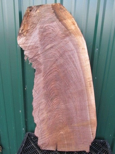 1 2 x33 lunghe - 2, 1/2