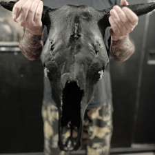 Memento Mori Stealth - teschio