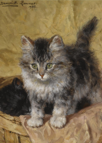 Henriette ronner knip cat 7x5 - henriette, ronner-knip