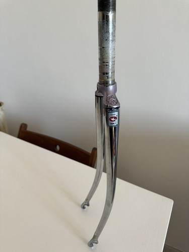 Giubilato size 700 - giubilato, s
