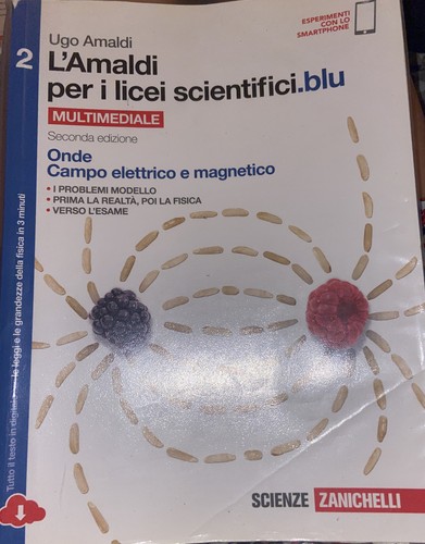 Libro amaldi per - l'amaldi,