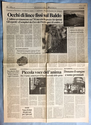 Ritaglio giornale arena - giornale, di