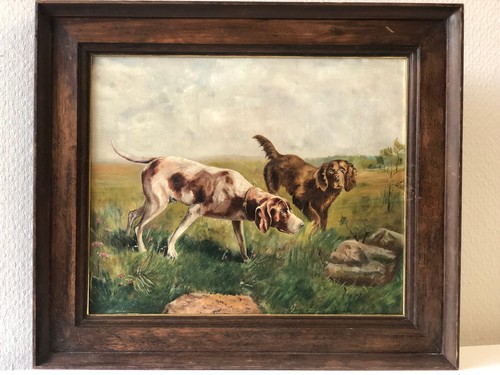 Cani caccia english pointer - da,