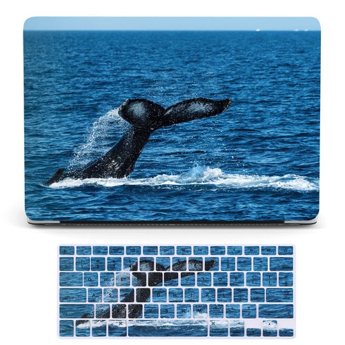 Custodia ocean leaping whale - ocean,