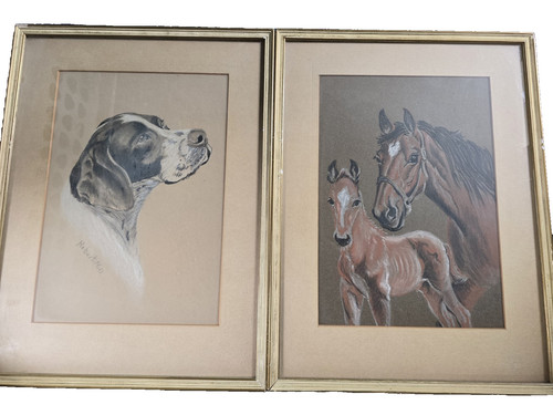 Coppia disegni animali con