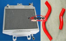 Radiatore alluminio + tubo