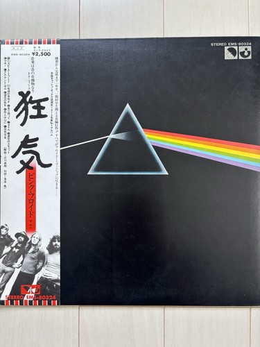 Pink floyd vinyl record lp - floyd,