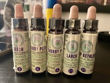 Fiori Di BACH: 3 BEECH