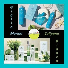 Giglio marino tulipano - giglio,
