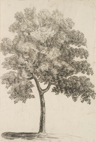 Graimberg studi - c., (*1774),