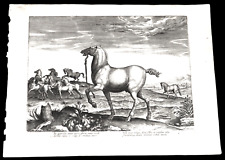 1580-RARA-LIBERI EQUI CURSITATIO-STRADANO-JAN VAN DER STRAET-HORSES-CAVALLI