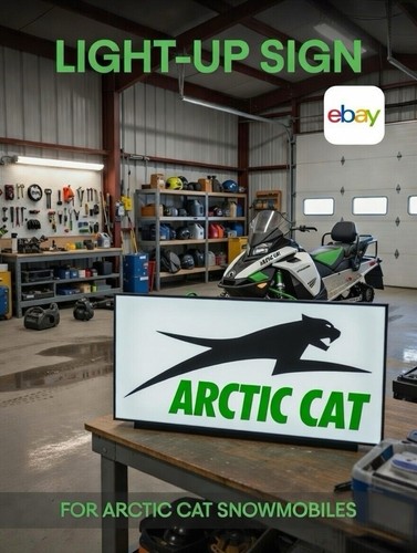 Motoslitte gatto artico - artico,