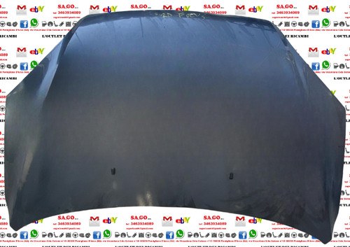 Cofano anteriore ford focus - anteriore,