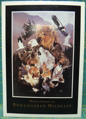 North american endangered - american,