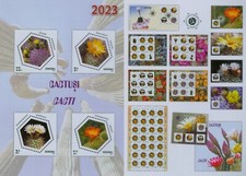Romania 2023 cactus