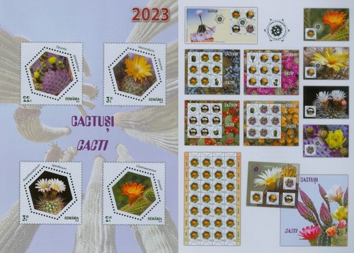 Romania 2023 piante - ,, cactus