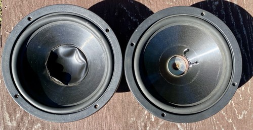 Coppia woofer originali - , 10