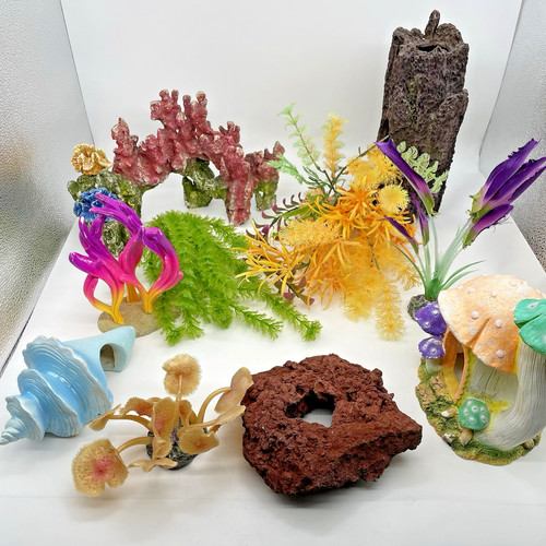 Pesciera acquario - pesciera,