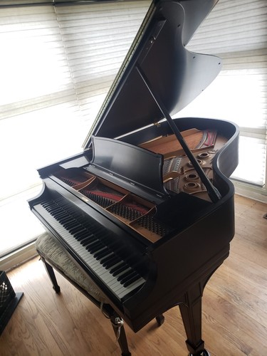 Steinway grand piano - l,