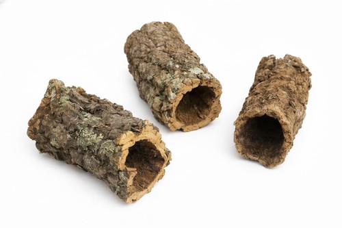 Sphagnum shop com corteccia - sphagnum-shop.com,