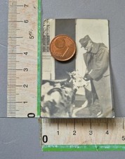 25/4/123)N5 Foto Ww1 Militare