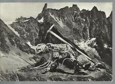 CARTOLINA ALPINISMO PICOZZA CORDA SCARPONI BOTTIGLIONE DI VINO 