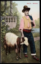 Maltese Traditional Milkman