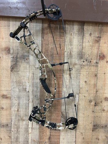 Hoyt eclipse draw - hoyt,