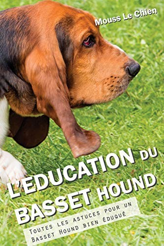 Education du basset - l'education,