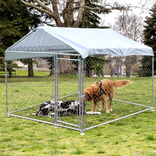 Cuccia per cani grandi - cani, di